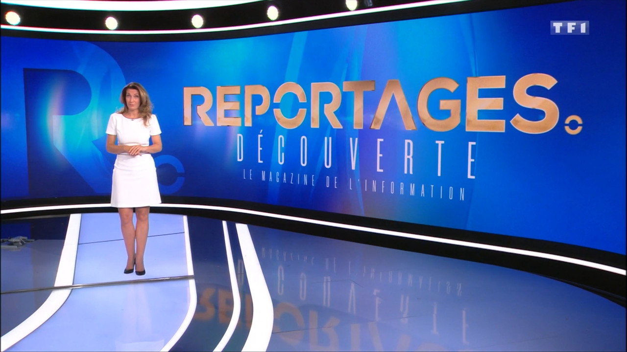 2020-11-15_13_00_TF1_Le-13h.mp4_snapshot_00.46.03.285
