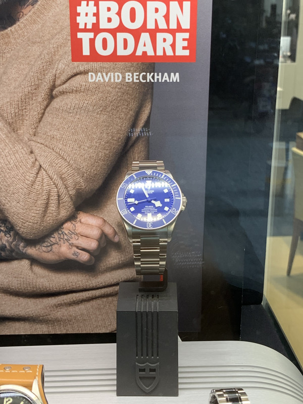 F04E6F50-BE71-4B80-B31E-05B91A2664E7