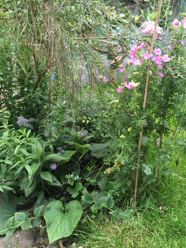 4E8A40A5-5B3D-4D42-928E-BE1311D0CD12