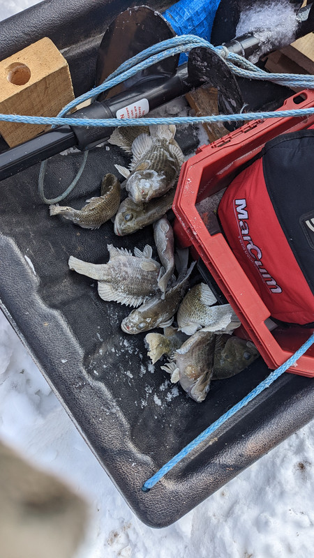 PXL 20260201 184912875