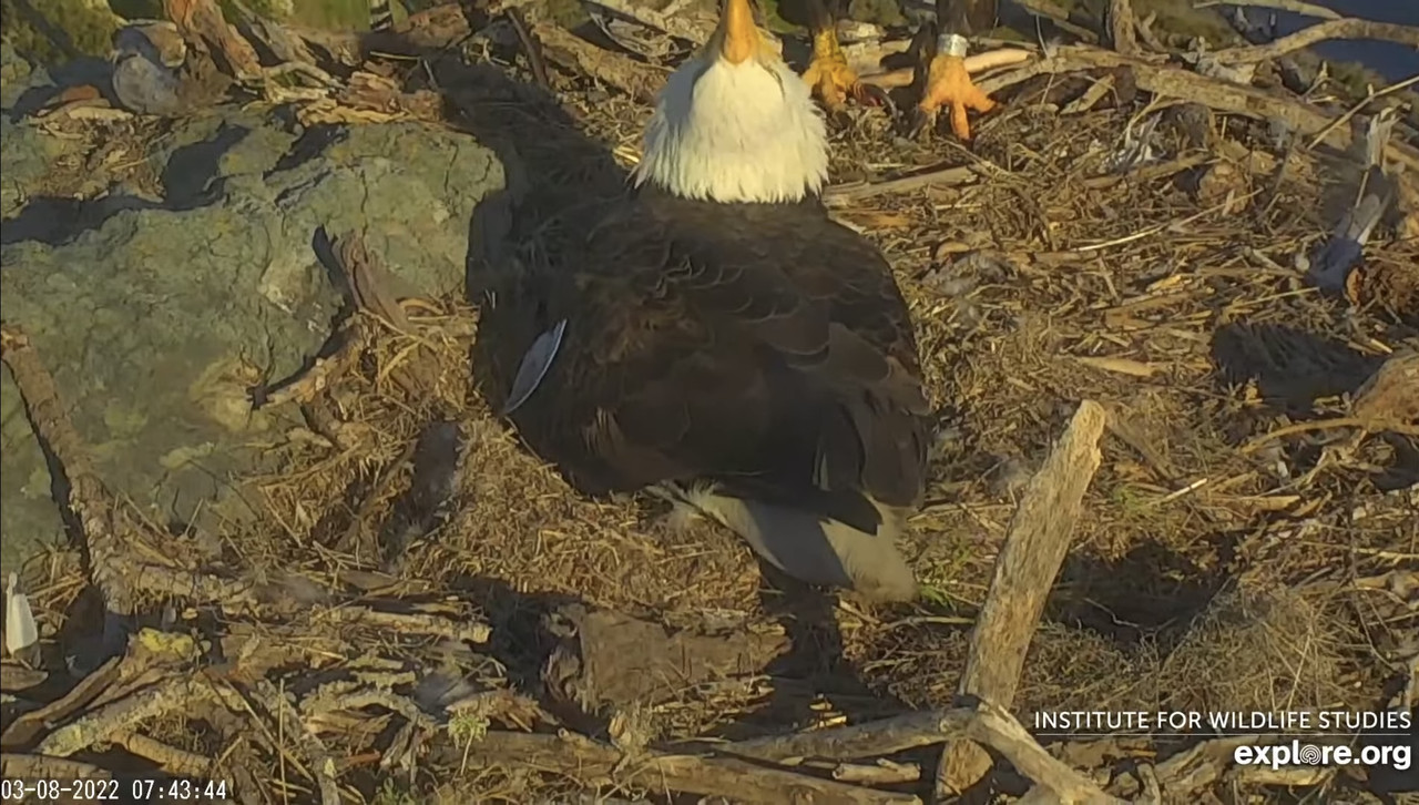 03FAE37A-9391-496A-8671-F425E9CB372F