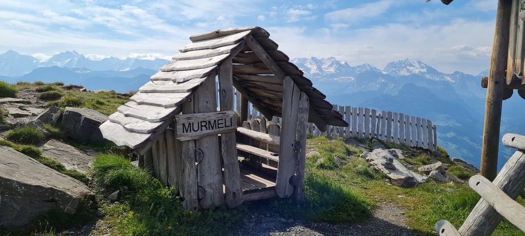 Suiza: 7 veranos, 7 planes con niños - Blogs de Suiza - MONTE NIESEN: la gran pirámide, un plan de altura (6)