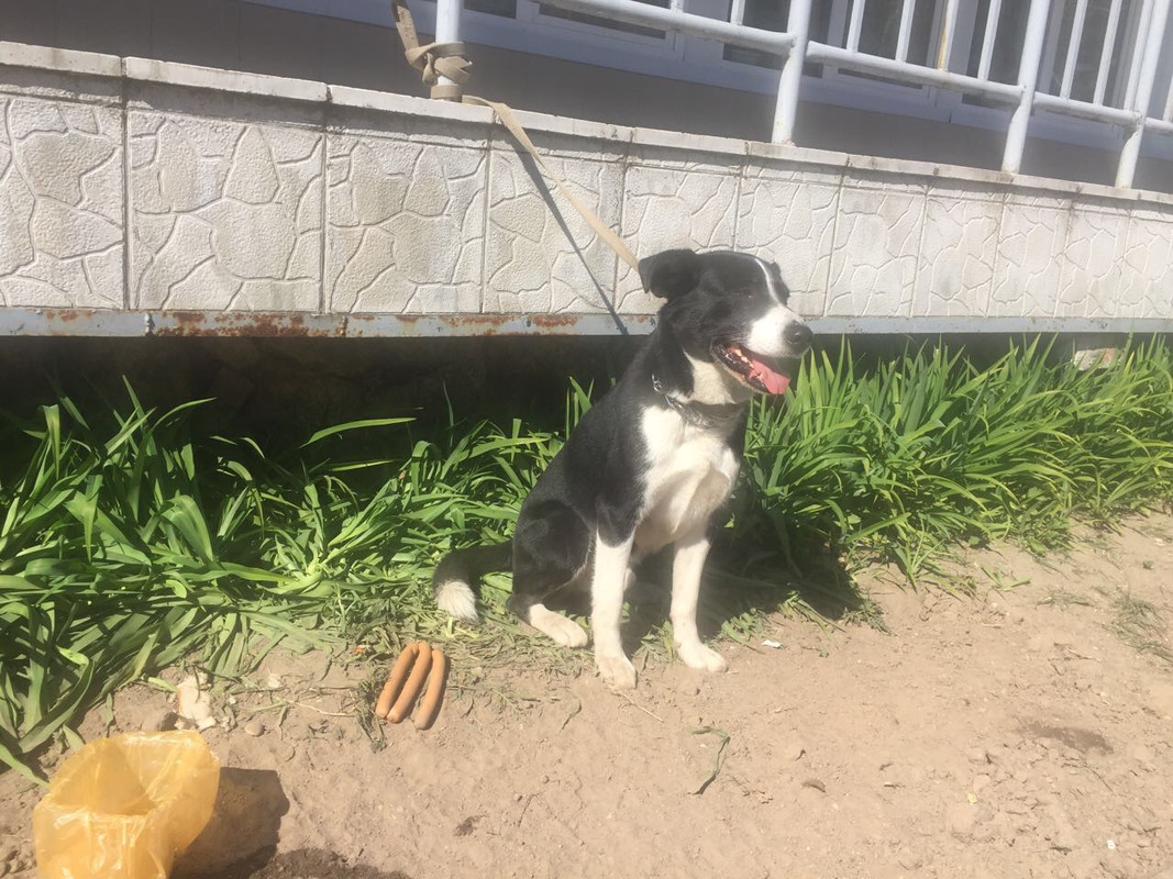 0057D928-165A-4453-AB45-3AE7D2594109