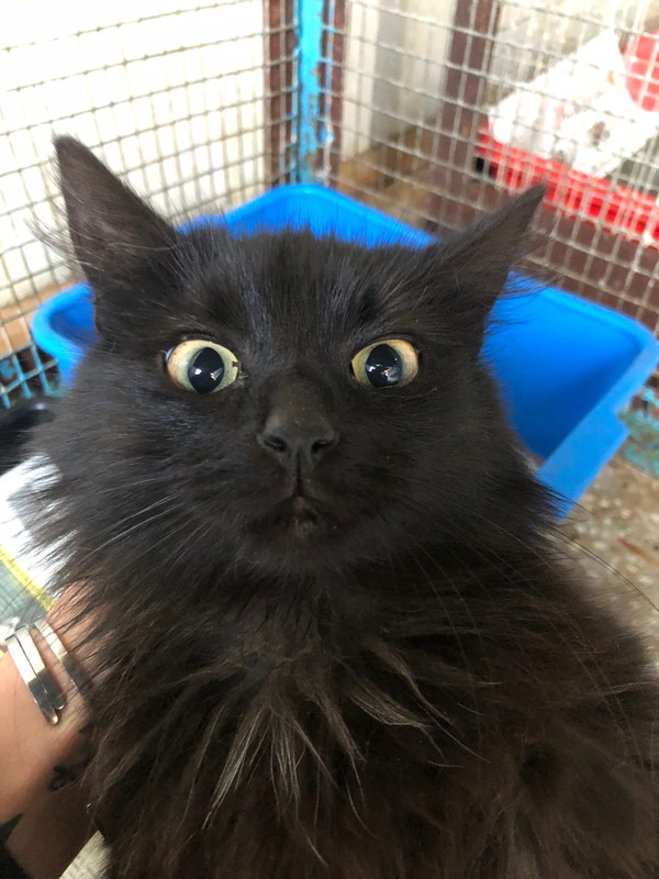 27A326A9-F142-4628-93F0-055858229552