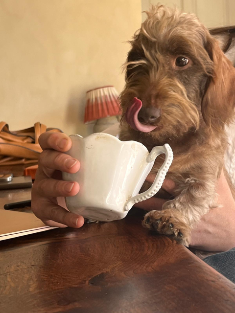 [Image: IMG-20241113-074606.png]