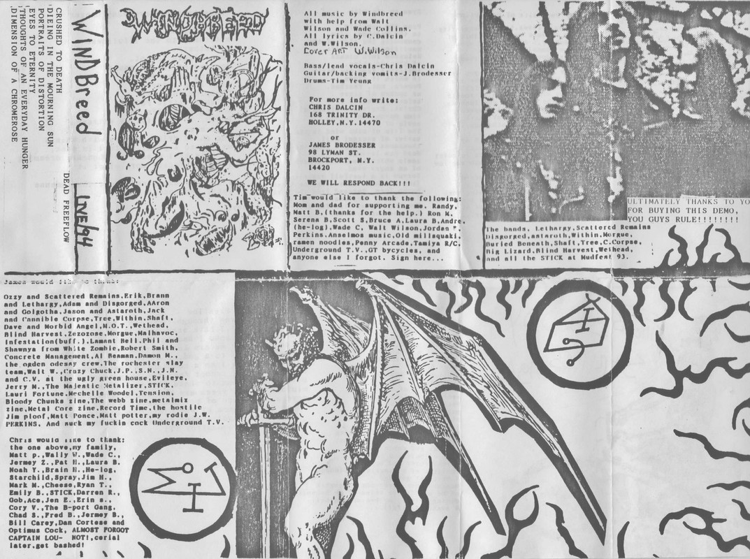 https://i.postimg.cc/sxxHt1DP/demo-cover-1.jpg