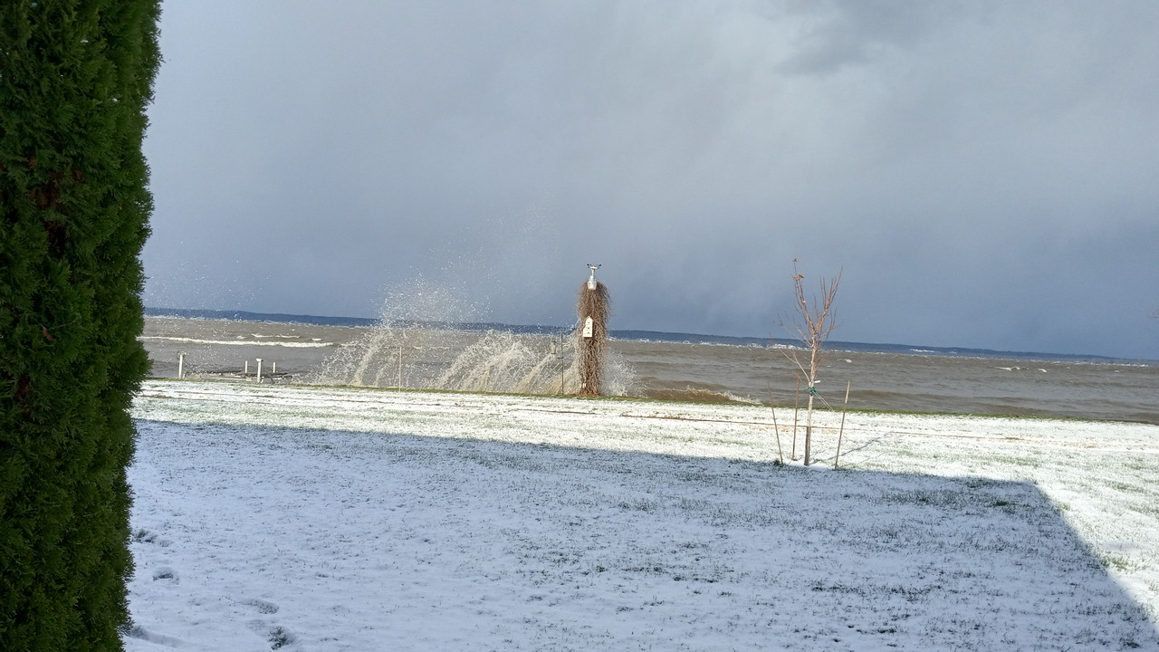 IMG_20221120_141044467_HDR