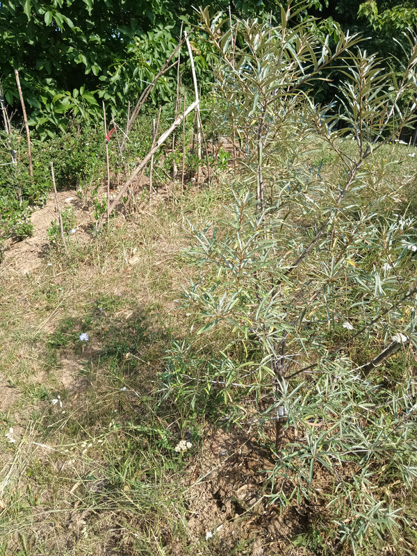 IMG 20260726 101540