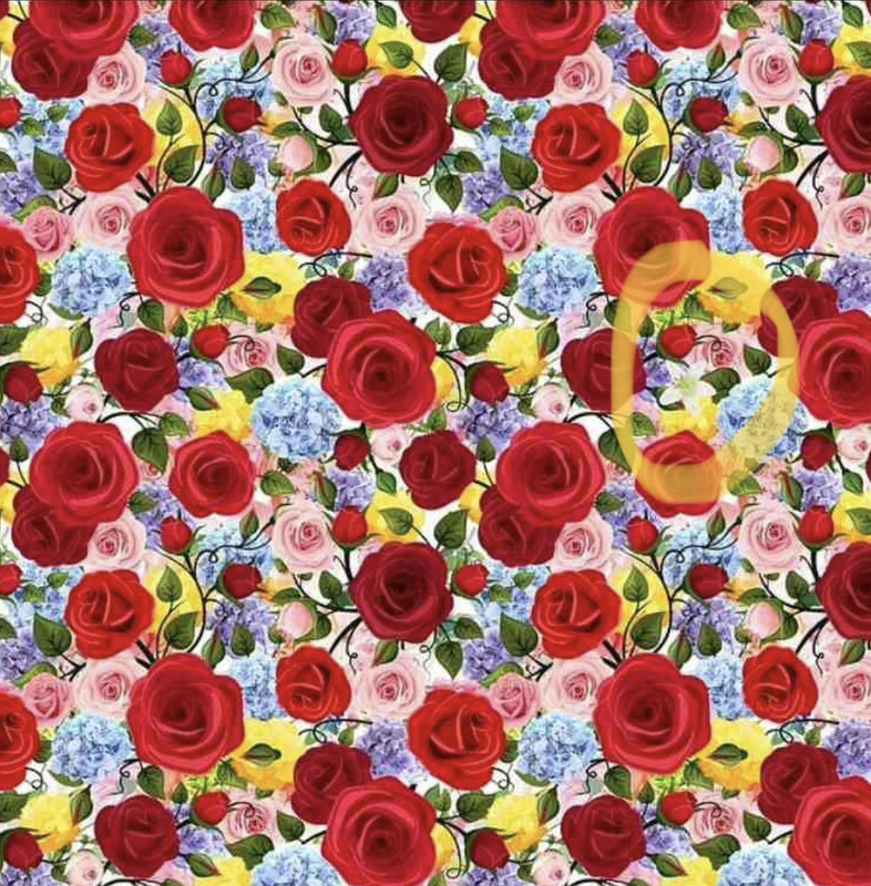 FEBB5FC6-8E41-492D-919B-D374E8403FBA