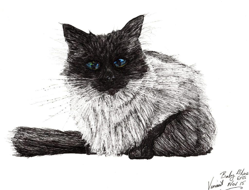 2-Vincent-Alexander-Booth-Baby-blue-eyes-2015-ink-on-paper-Meister-Drucke-391104