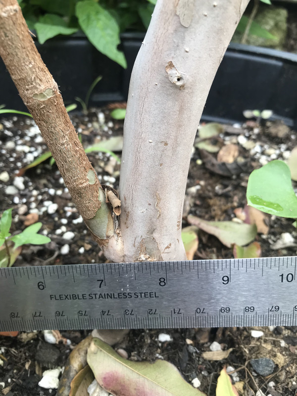 702EEC0C-7320-4A61-A9EB-27132A7596F5