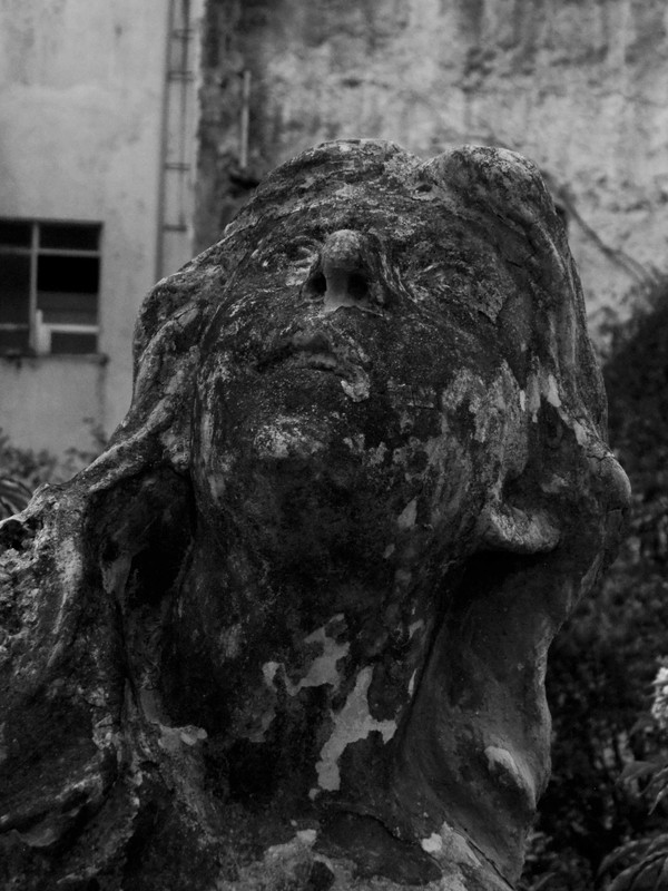 11.4.the cherub-rapture IV (b&w)