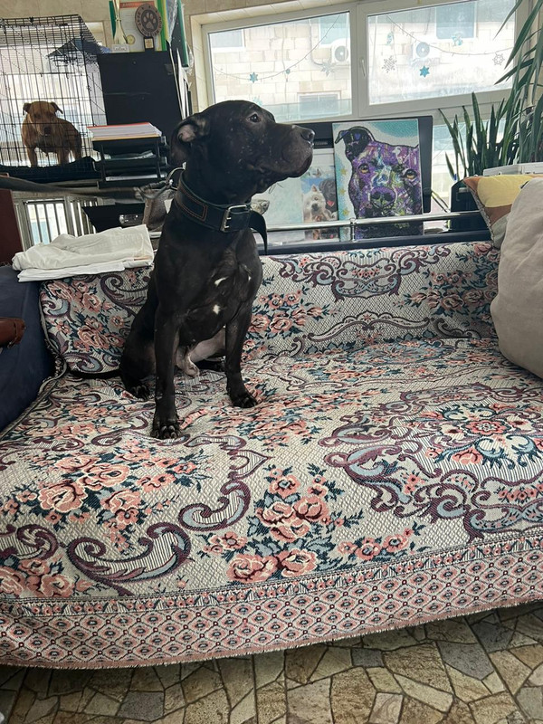 WhatsApp Image 2024-02-07 at 11.51.26 (2)