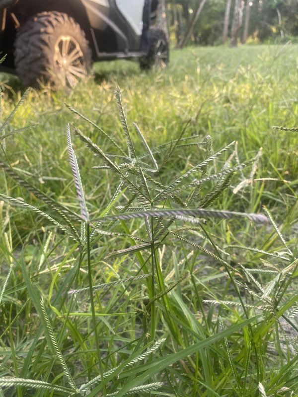 7DEED54B-EA40-4633-BF1C-D4F93040858F