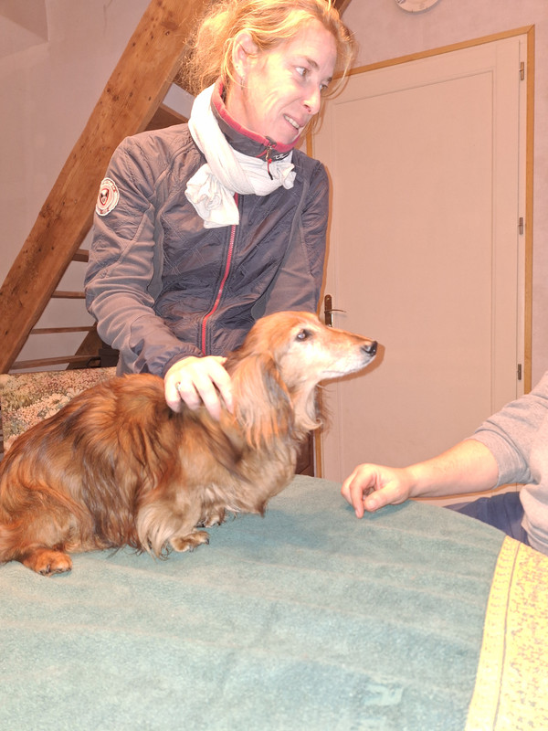 [Image: 20231129-170858.jpg]