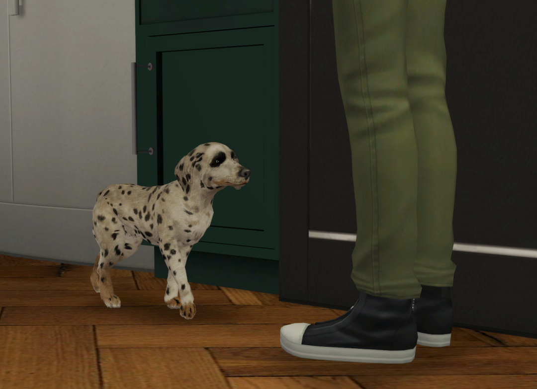 Sims2-EP9-RPC-2023-07-03-20-25-38-25