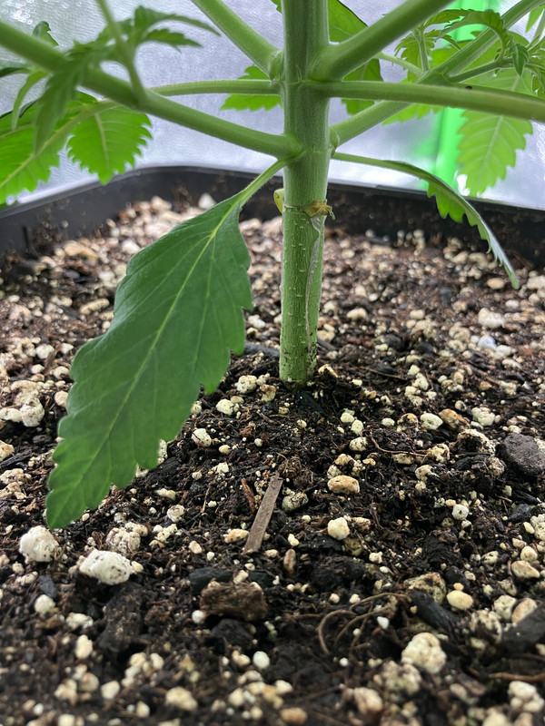 l OCT 25 2023 IMG_2616