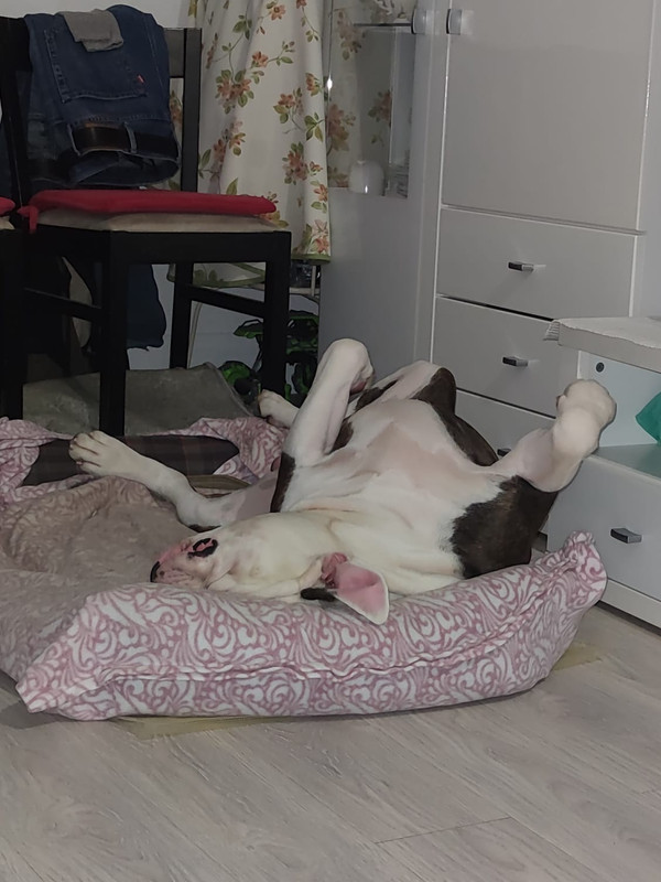 406218E6-18B0-4870-B4E6-E16AA53D0CD2