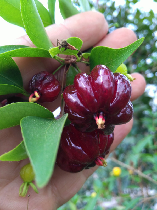 IMG_20170512_185818 (3)