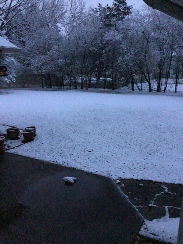 3A555CA9-AD5F-44C8-A137-B416A47F37FE