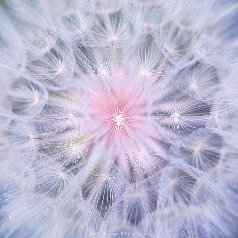 Ed1400-3SqHartPrair7-14-19_0069