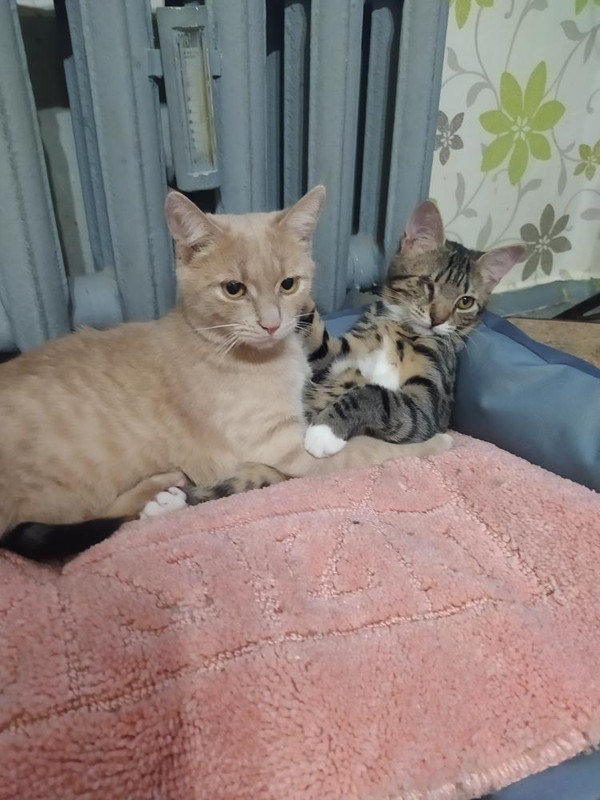 EFDDAAF8-46DF-4C21-AB27-A598C2245B3E