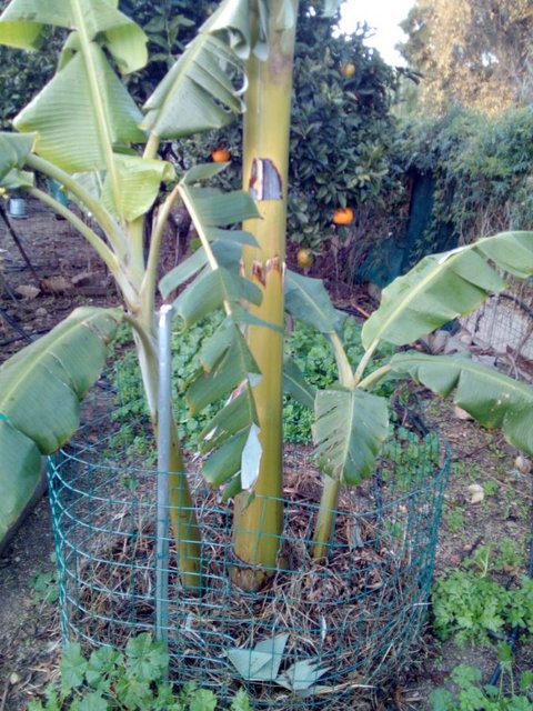 18474708-AB9C-42E3-B1F7-546B475348BF