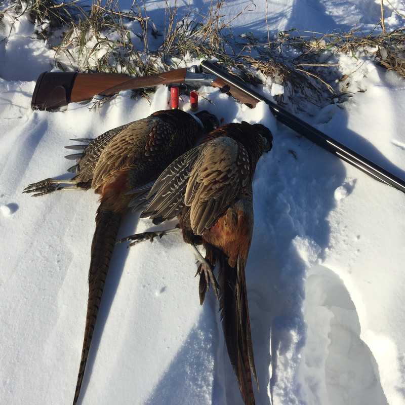 2BFCA5E1-6655-43AE-A369-FB2A57249BC2