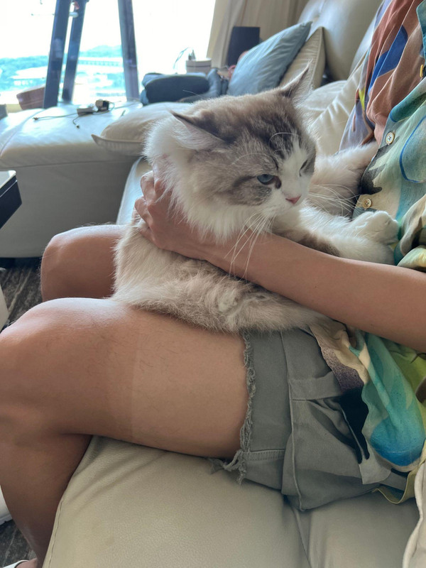 oMFAYCEdXVDA9qg3VCA1FXVAf3DAAnIA1fE1bd~tplv-dy-aweme-images-v2_3000_3000_q75