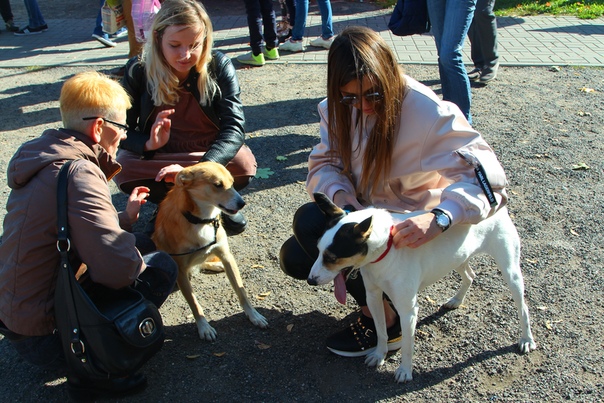 E1446170-4F0E-484F-A7F9-A5254DCF31C6