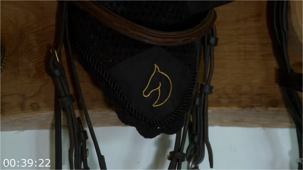 [Image: m25vy71qqshk.png]