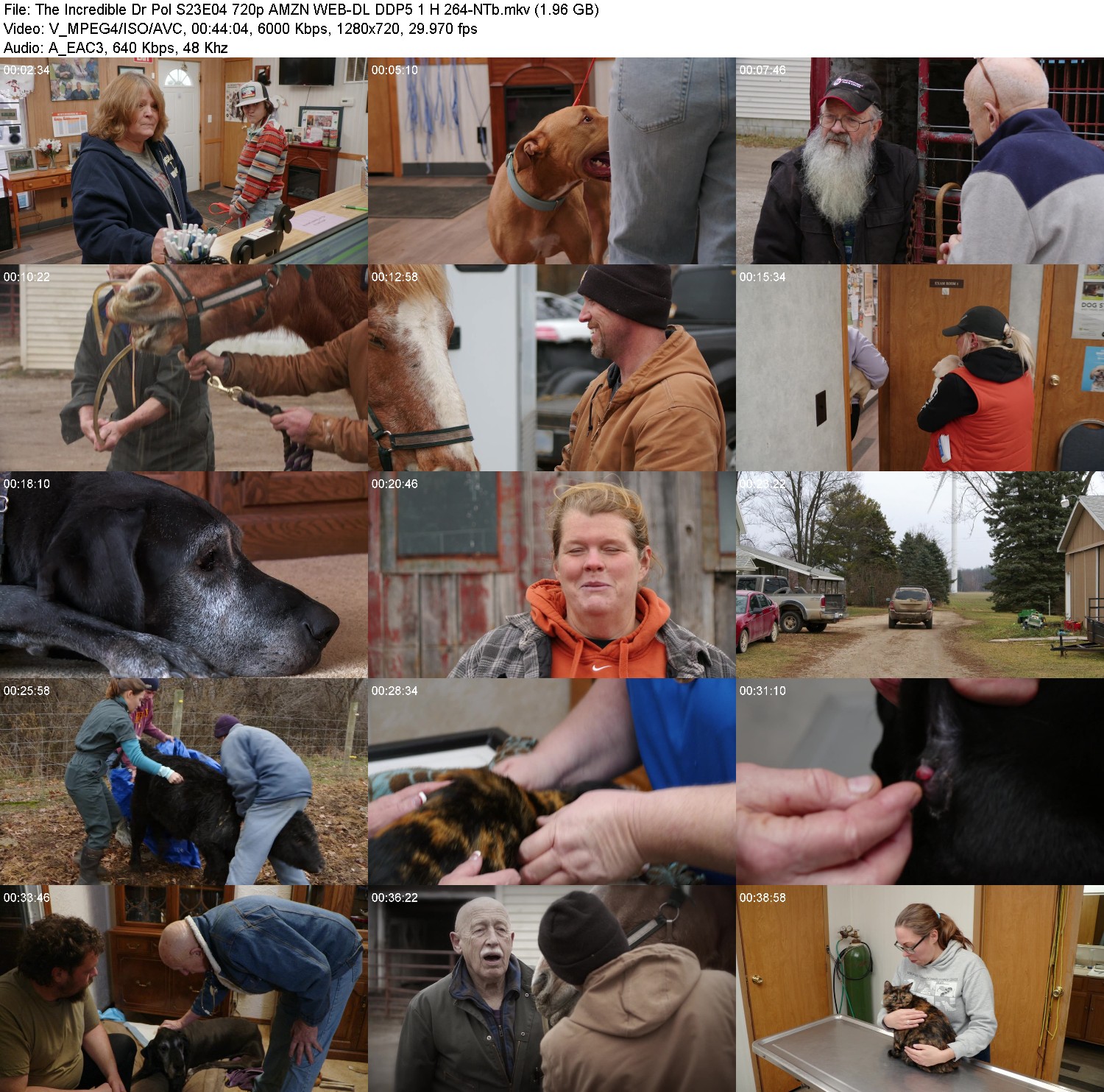 [Image: r1pz8eni73gg.jpg]