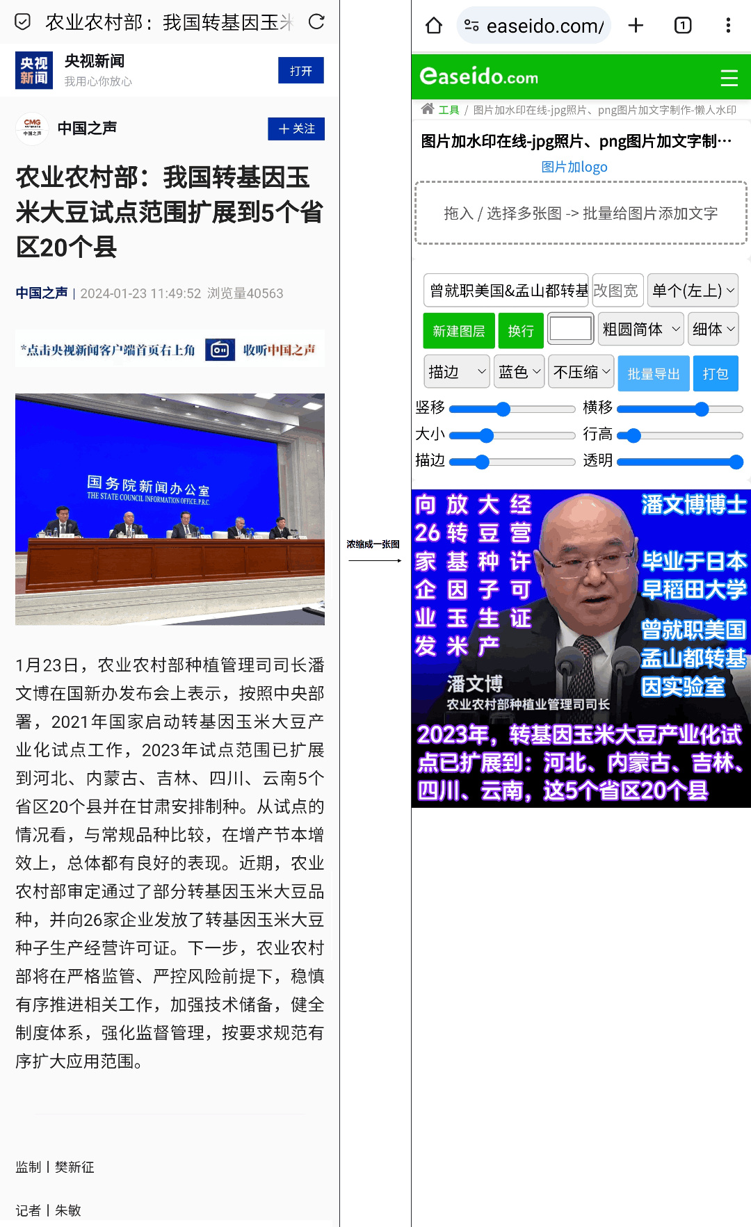 2023年,中国转基因玉米大豆试点范围
