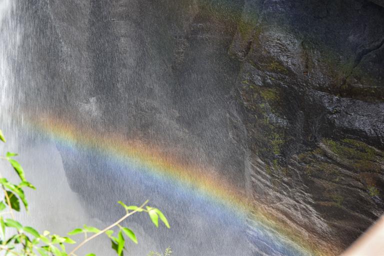 В джазе только девушки или аргентинско-бразильский калейдоскоп В джазе только девушки или аргентинско-бразильский калейдоскоп