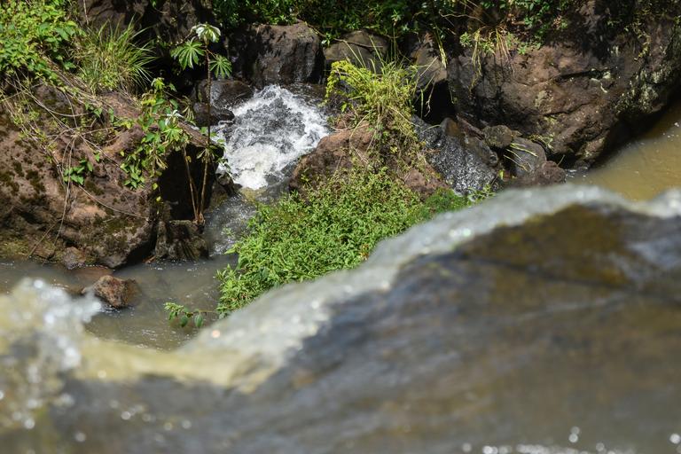 В джазе только девушки или аргентинско-бразильский калейдоскоп В джазе только девушки или аргентинско-бразильский калейдоскоп