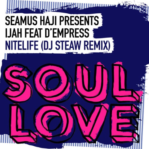 Seamus-Haji-Nitelife-DJ-Steaw-Remix-SL04