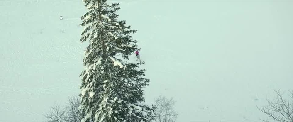 [Image: 5hifagfjh255.jpg]