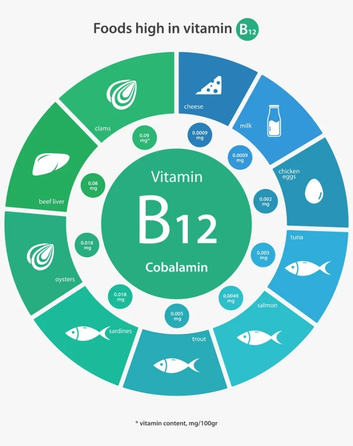Food rich in vitamin B12 - infographic