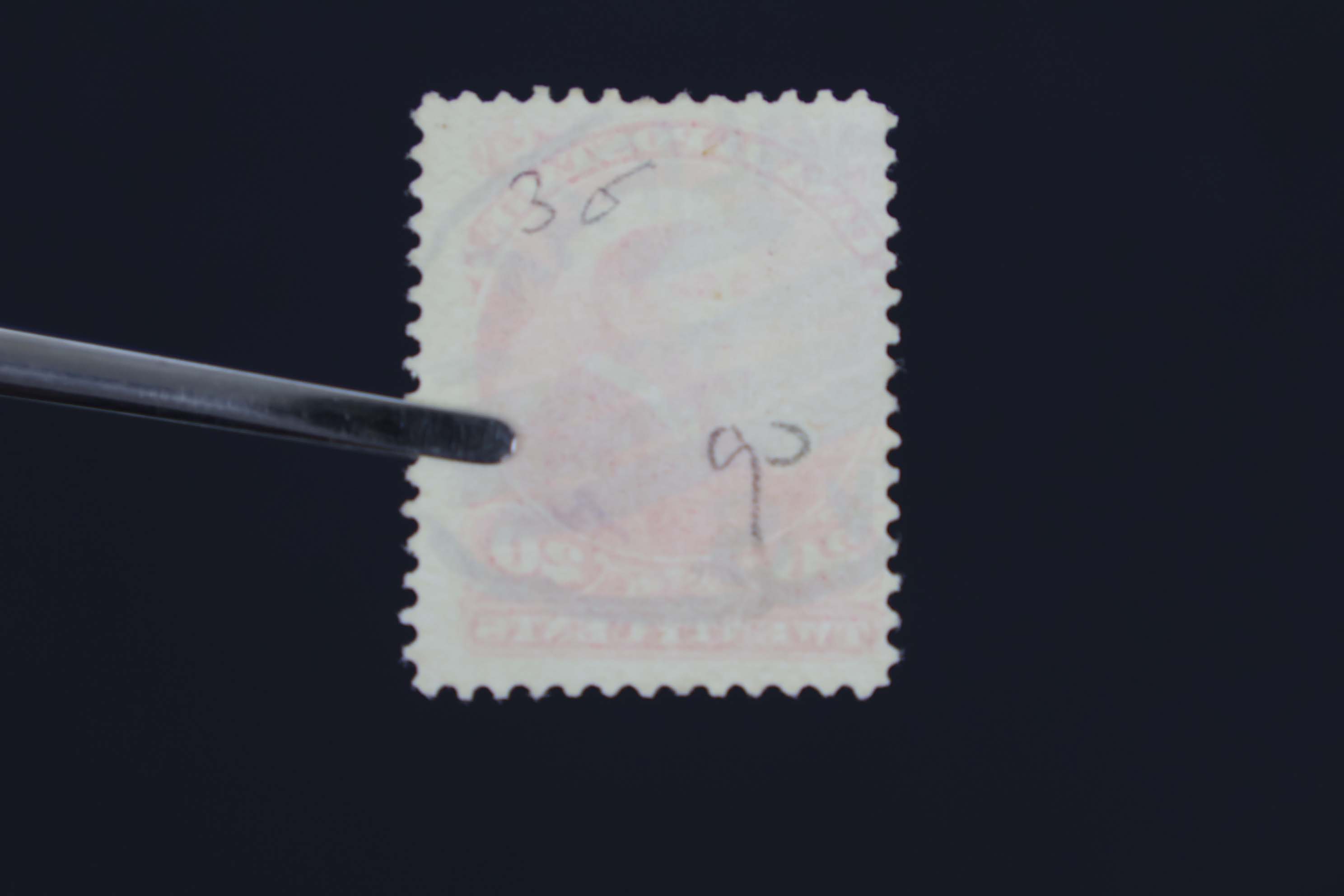 IMG-2769