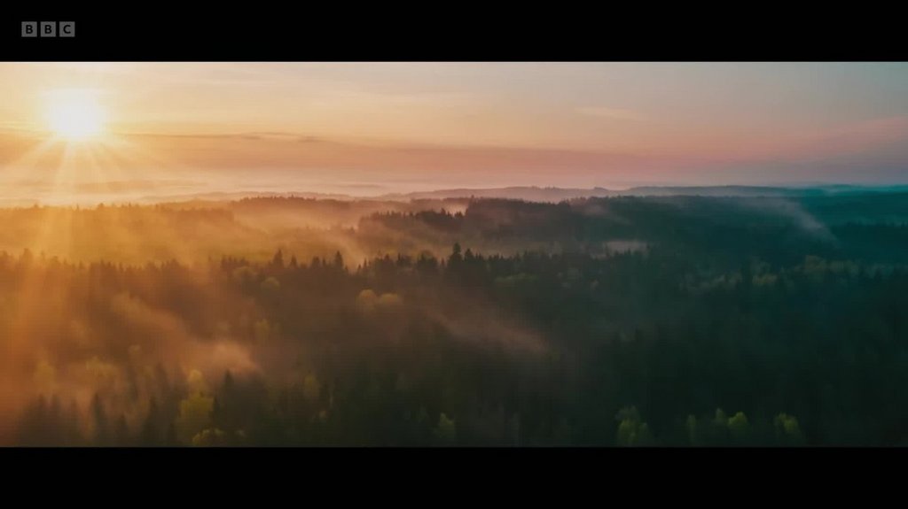 [Image: kaug31jgq7b4.jpg]