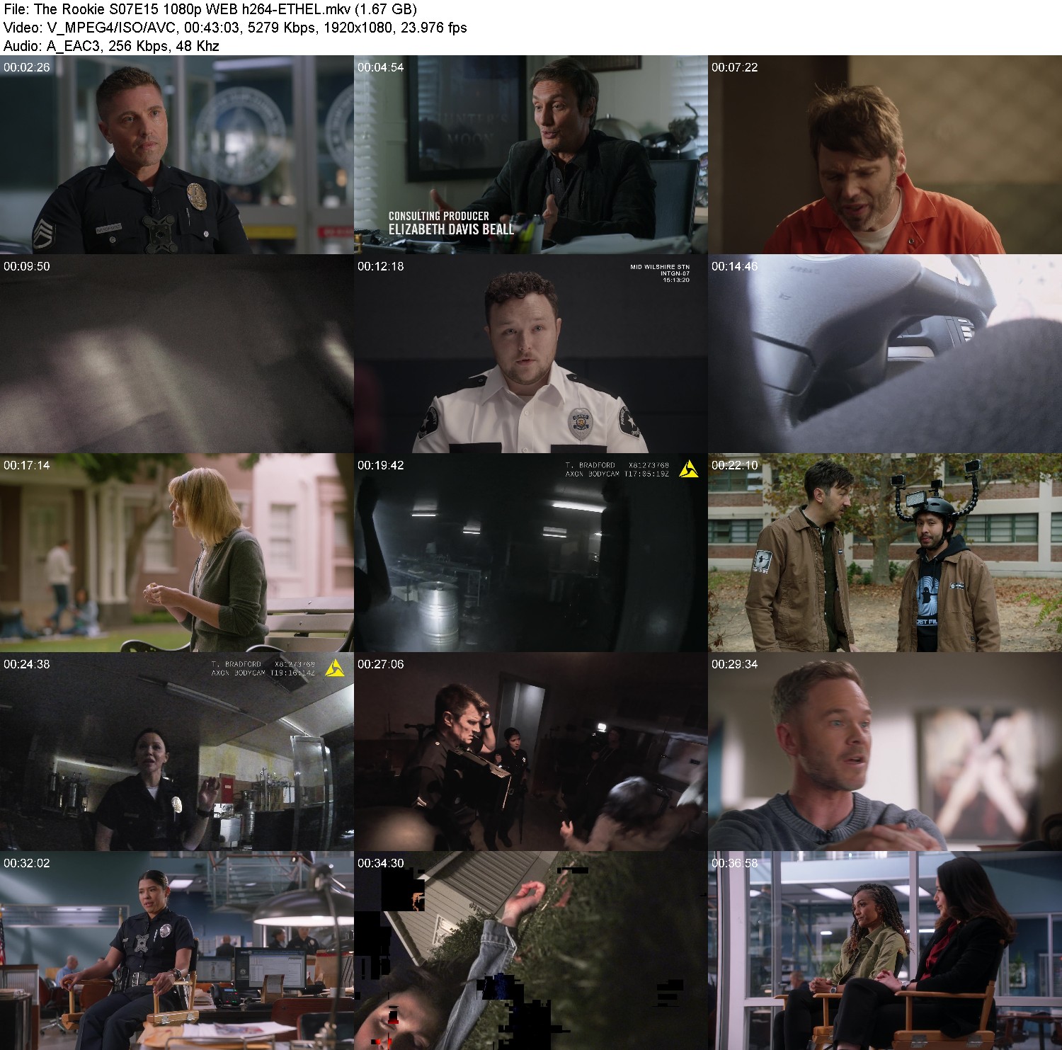 [Image: xgkgfg2j46i3.jpg]