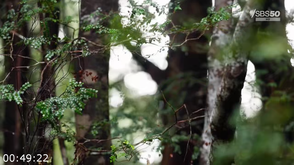 [Image: dgo0wwe3fn17.png]