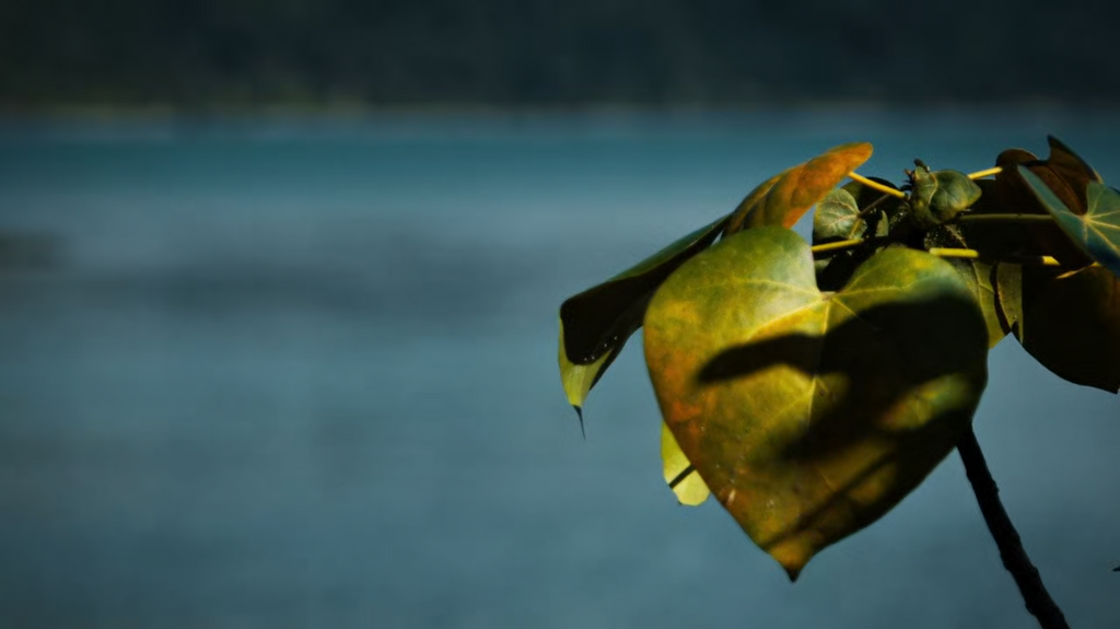 [Image: 3cb14pl3znjy.png]