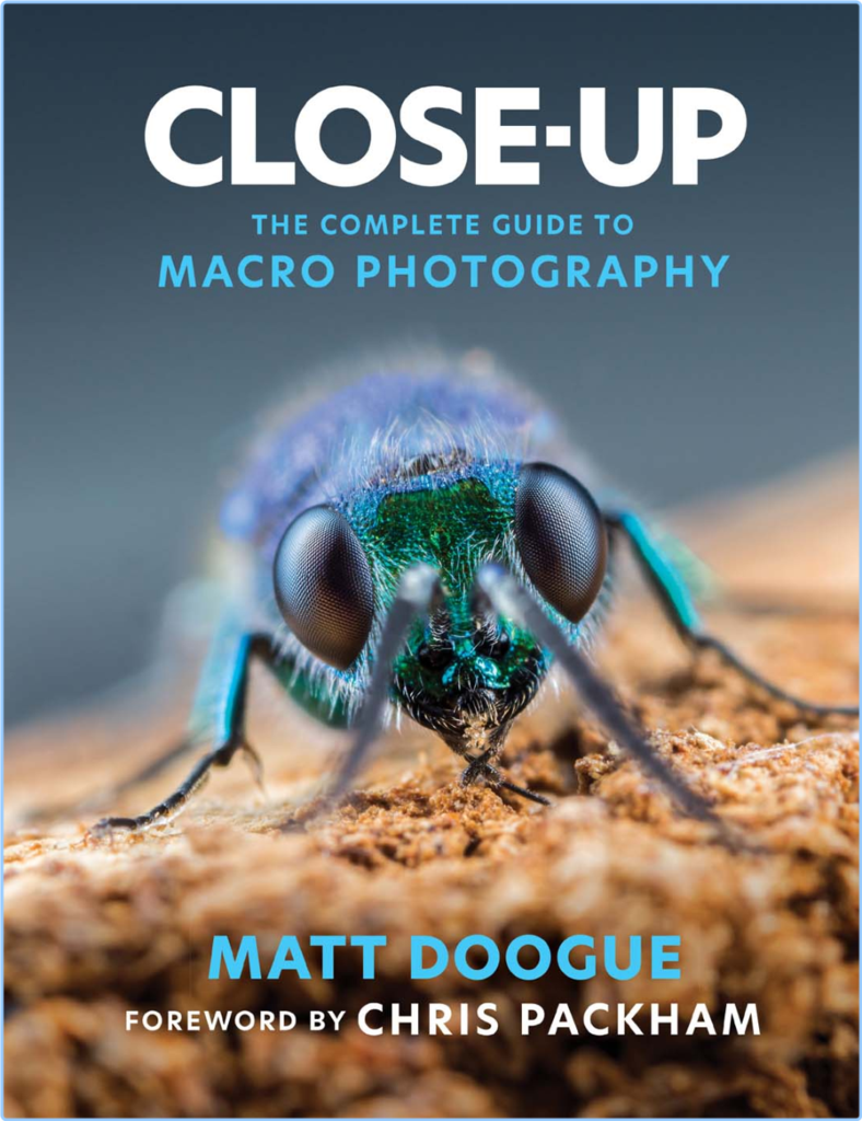 [Image: dk6p8t6nj4wu.png]