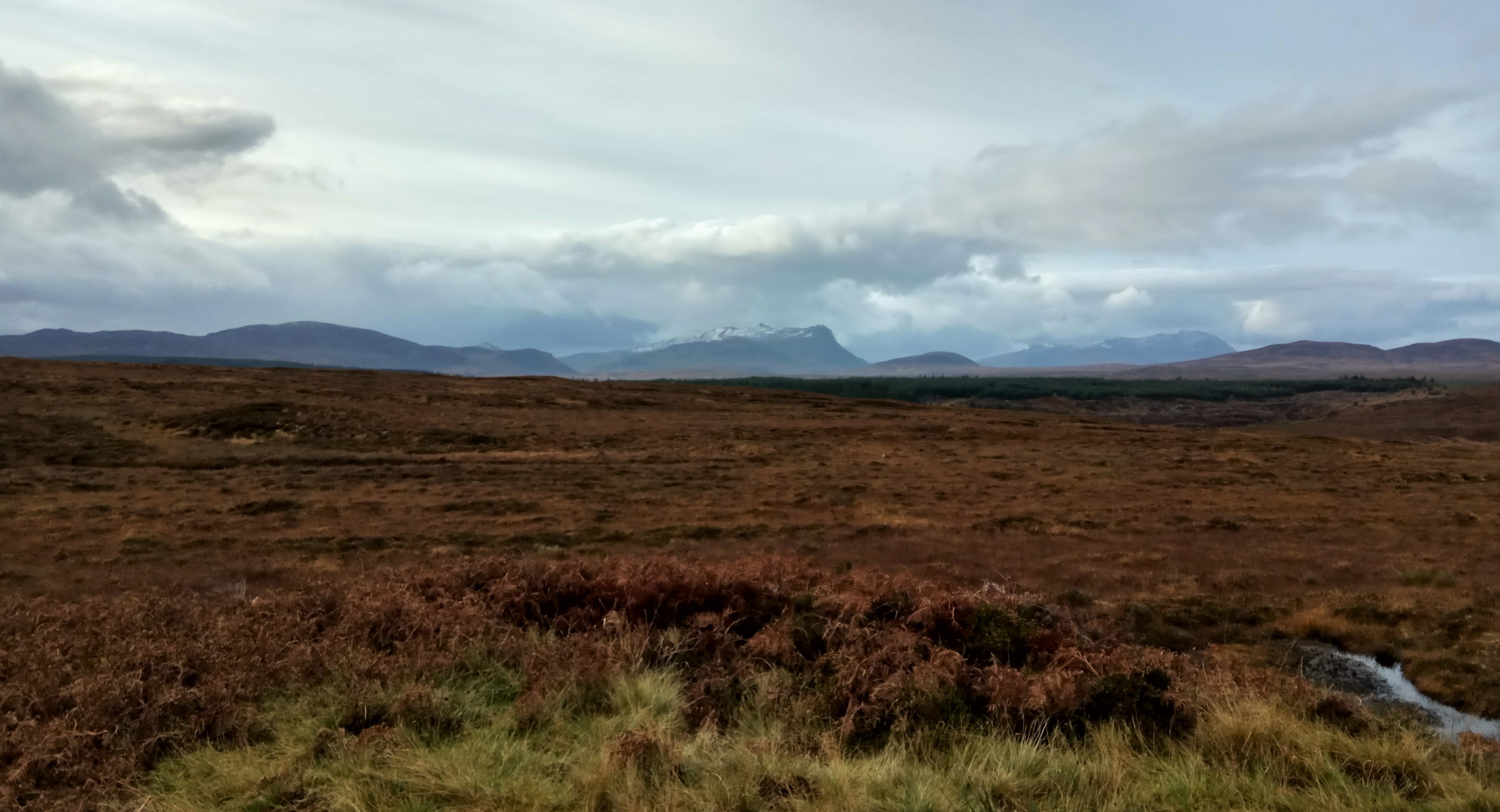 IMG-20171114-102818-HDR.jpg
