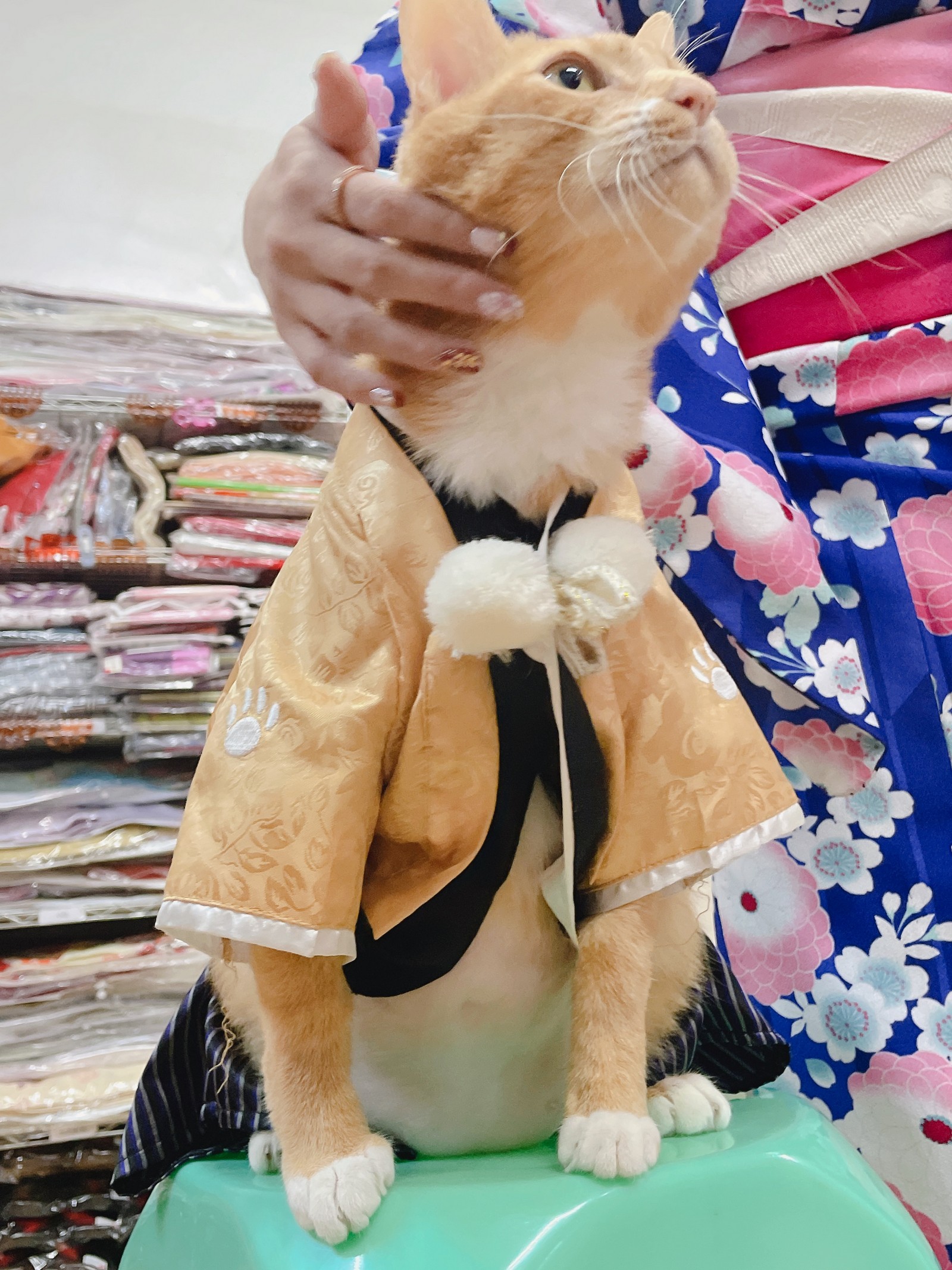 泥泥汝 和服主题 写真＋视频合集｜日式传统风高清图集（440P｜26V｜1.36GB）插图8