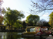 photo 9 2025 12 24 16 22 41