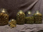 IMG_20200220_132734_047