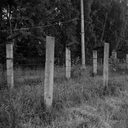 IMG_20140705_214437_resize