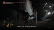 Dark-Souls-III-2019-03-27-23-55-19-85